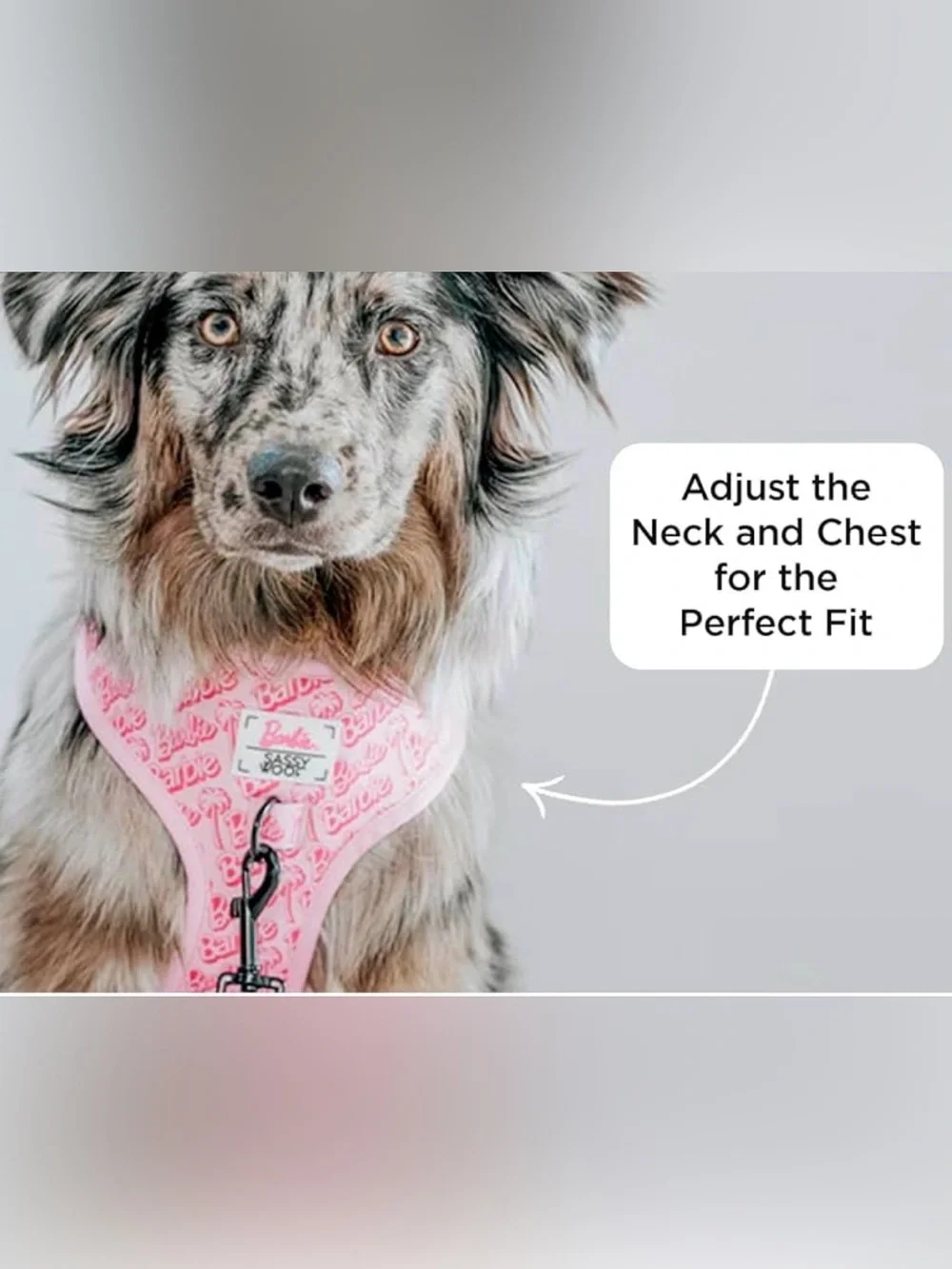 Barbie Pink Dog Harness and Leash Set - Large